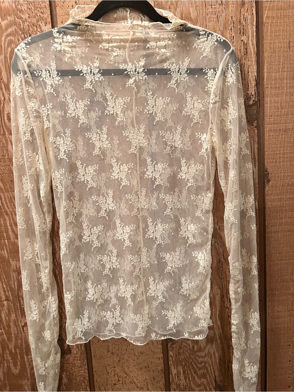 Free People Sheer Lace Long-Sleeve Top